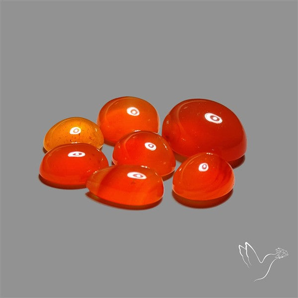 Carnelian Agate Cabochons Lot