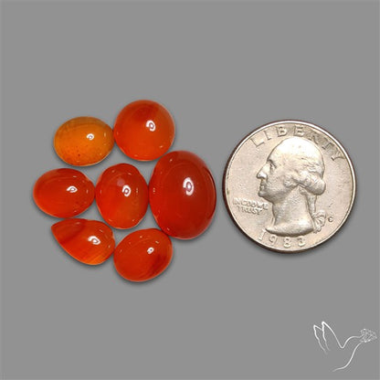 Carnelian Agate Cabochons Lot