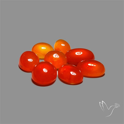 Carnelian Agate Cabochons Lot