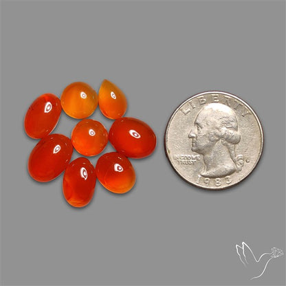 Carnelian Agate Cabochons Lot