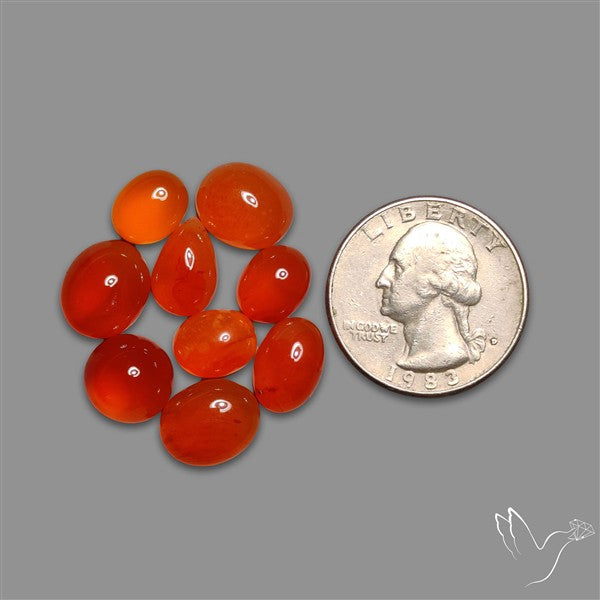 Carnelian Agate Cabochons Lot