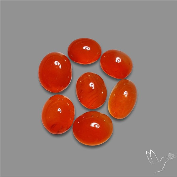 Carnelian Agate Cabochons Lot