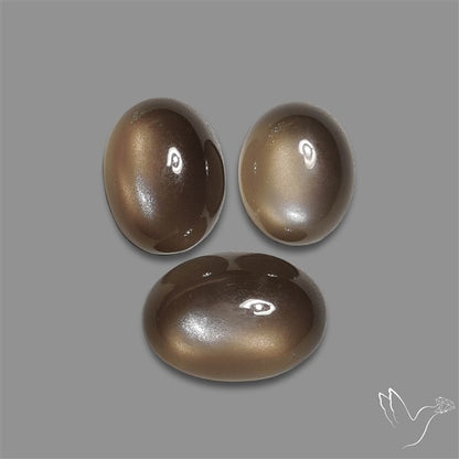 Black Moonstone Cabochons Lot
