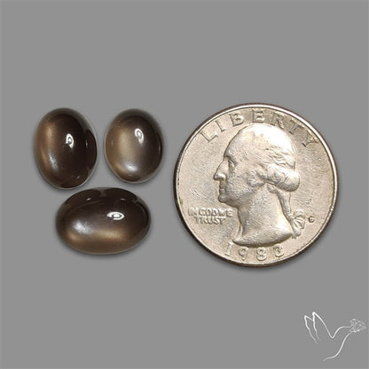 Black Moonstone Cabochons Lot