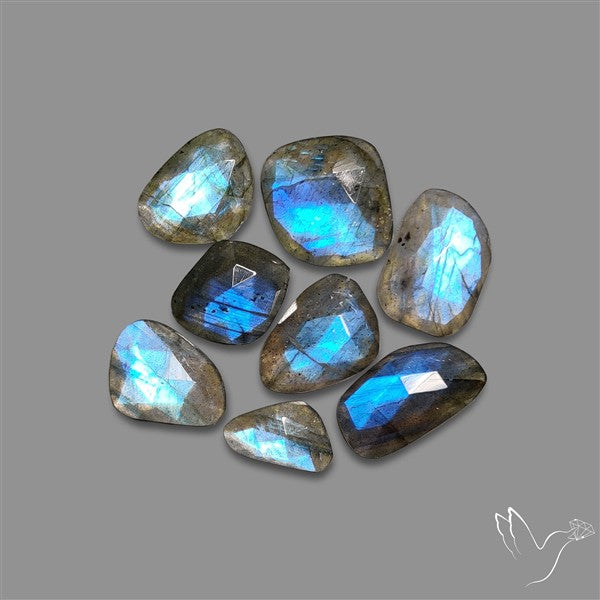 Rose Cut Blue Labradorite Lot