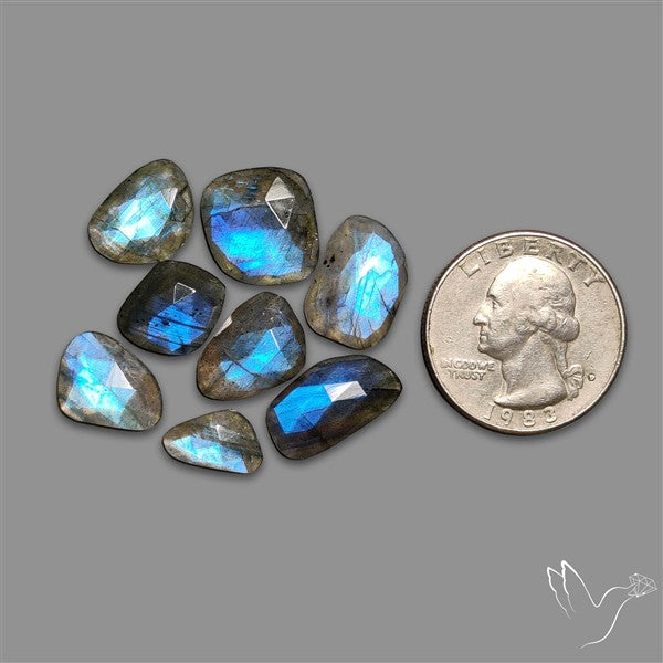 Rose Cut Blue Labradorite Lot