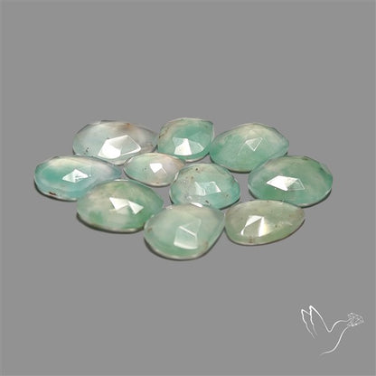 Rose Cut Aqua Chrysoprase Lot