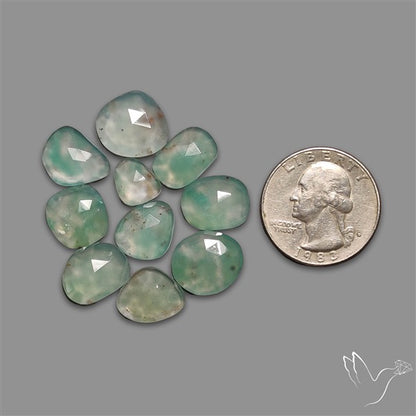 Rose Cut Aqua Chrysoprase Lot