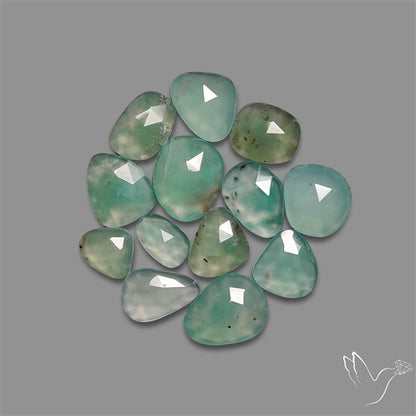 Rose Cut Aqua Chrysoprase Lot