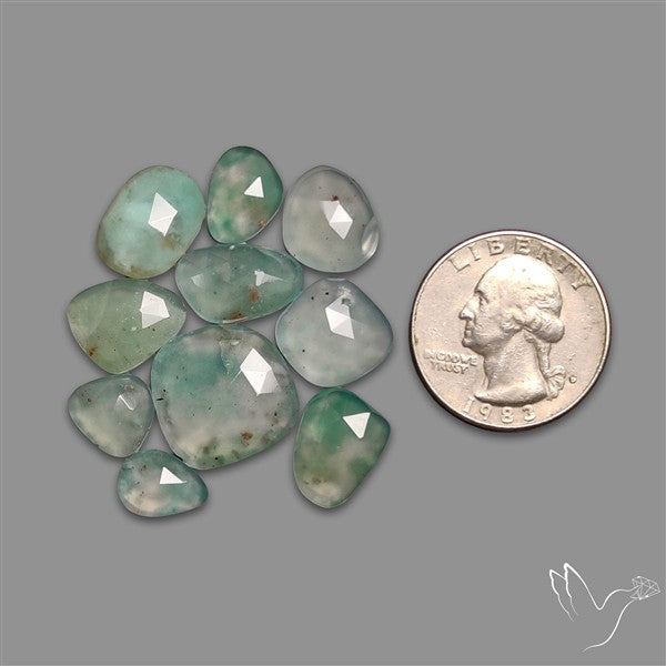 Rose Cut Aqua Chrysoprase Lot