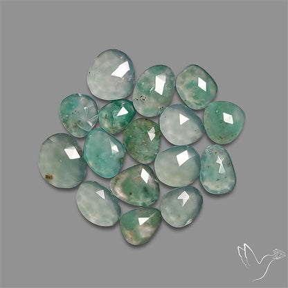 Rose Cut Aqua Chrysoprase Lot