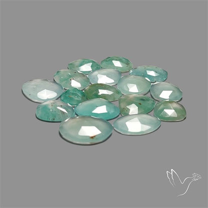 Rose Cut Aqua Chrysoprase Lot