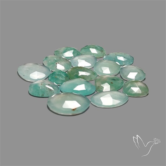 Rose Cut Aqua Chrysoprase Lot