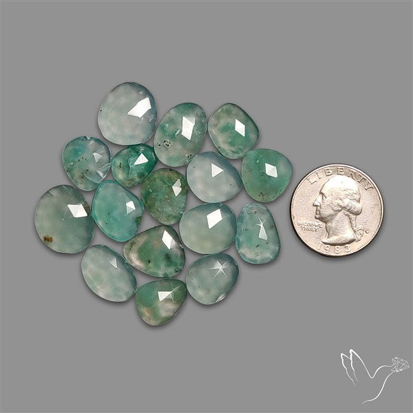 Rose Cut Aqua Chrysoprase Lot