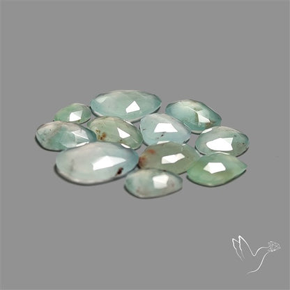 Rose Cut Aqua Chrysoprase Lot