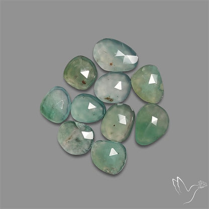 Rose Cut Aqua Chrysoprase Lot