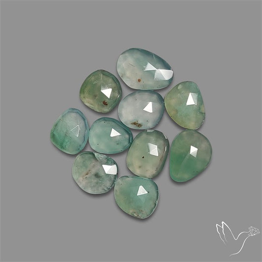 Rose Cut Aqua Chrysoprase Lot