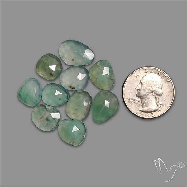 Rose Cut Aqua Chrysoprase Lot