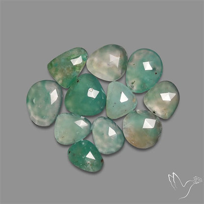 Rose Cut Aqua Chrysoprase Lot