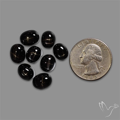 Black Star Diopside Cabochons Lot