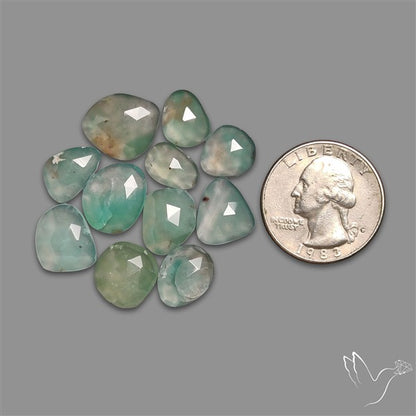 Rose Cut Aqua Chrysoprase Lot