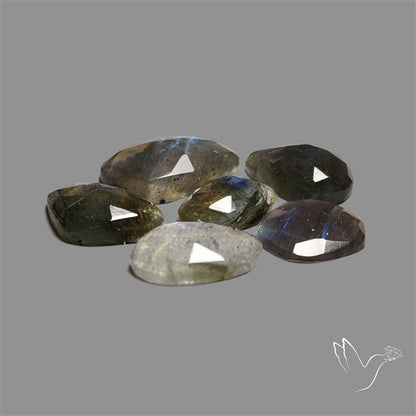 Rose Cut Blue Labradorite Lot