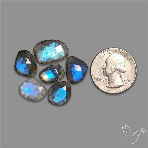 Rose Cut Blue Labradorite Lot