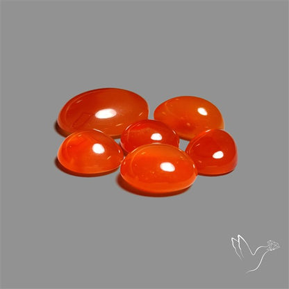 Carnelian Agate Cabochons Lot