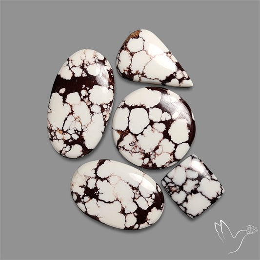 Wild Horse Jasper Cabochons Lot