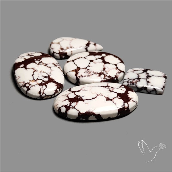 Wild Horse Jasper Cabochons Lot