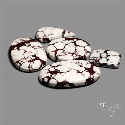 Wild Horse Jasper Cabochons Lot