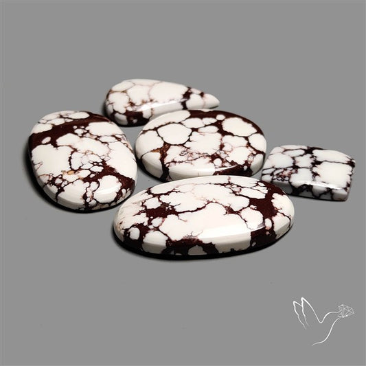 Wild Horse Jasper Cabochons Lot