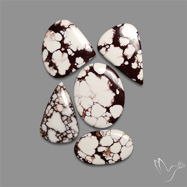 Wild Horse Jasper Cabochons Lot