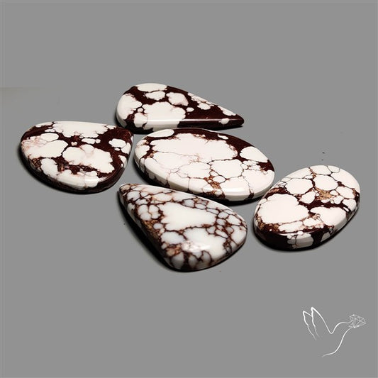 Wild Horse Jasper Cabochons Lot