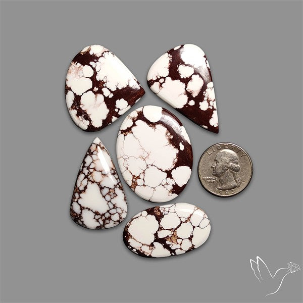 Wild Horse Jasper Cabochons Lot