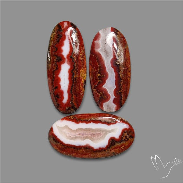 Moroccan Seam Agate Cabochons Lot