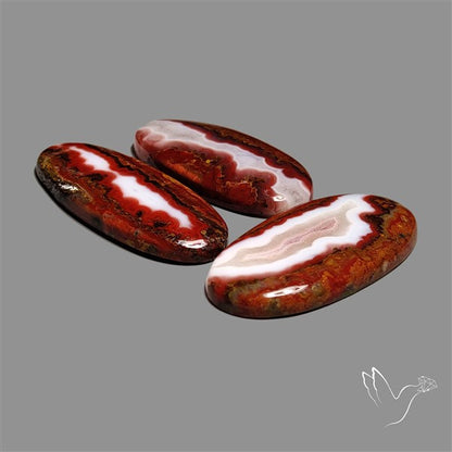 Moroccan Seam Agate Cabochons Lot