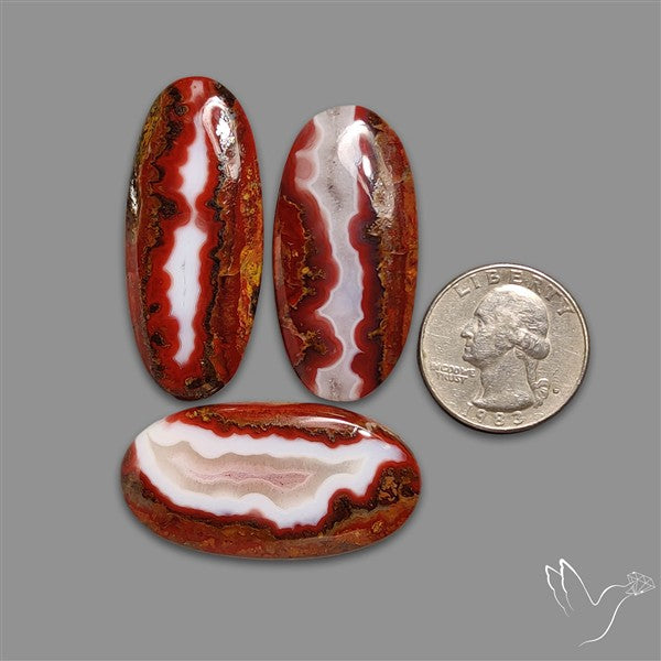 Moroccan Seam Agate Cabochons Lot