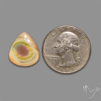 Imperial Jasper Cabochon