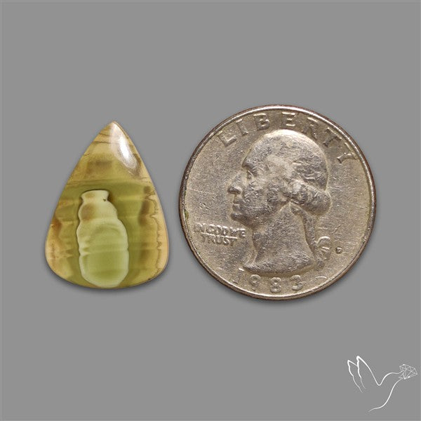 Imperial Jasper Cabochon