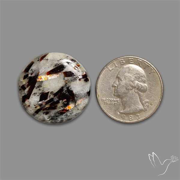 Astrophyllite Cabochon