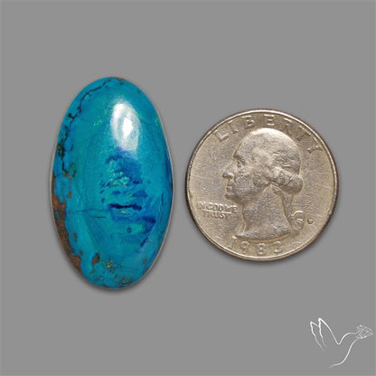 Chrysocolla Cabochon