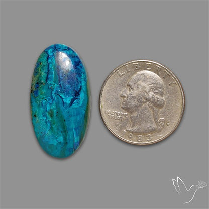 Chrysocolla Cabochon