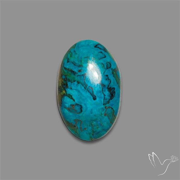 Chrysocolla Cabochon