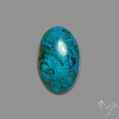 Chrysocolla Cabochon