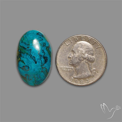 Chrysocolla Cabochon