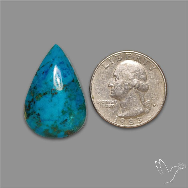 Chrysocolla Cabochon