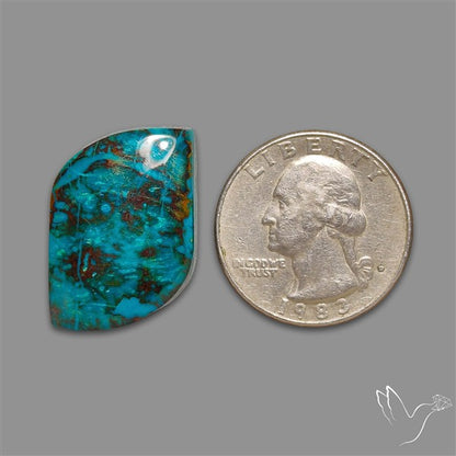Chrysocolla Cabochon