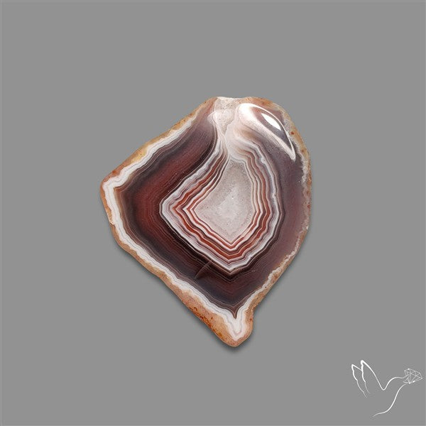 Botswana Agate Slice