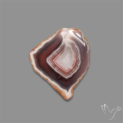 Botswana Agate Slice